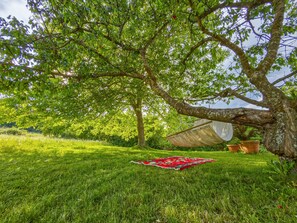 Un arbre avec un hamac et une couverture sur l’herbe.
