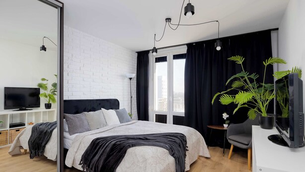 Una camera da letto moderna con un letto, una TV, una scrivania e piante in vaso.
