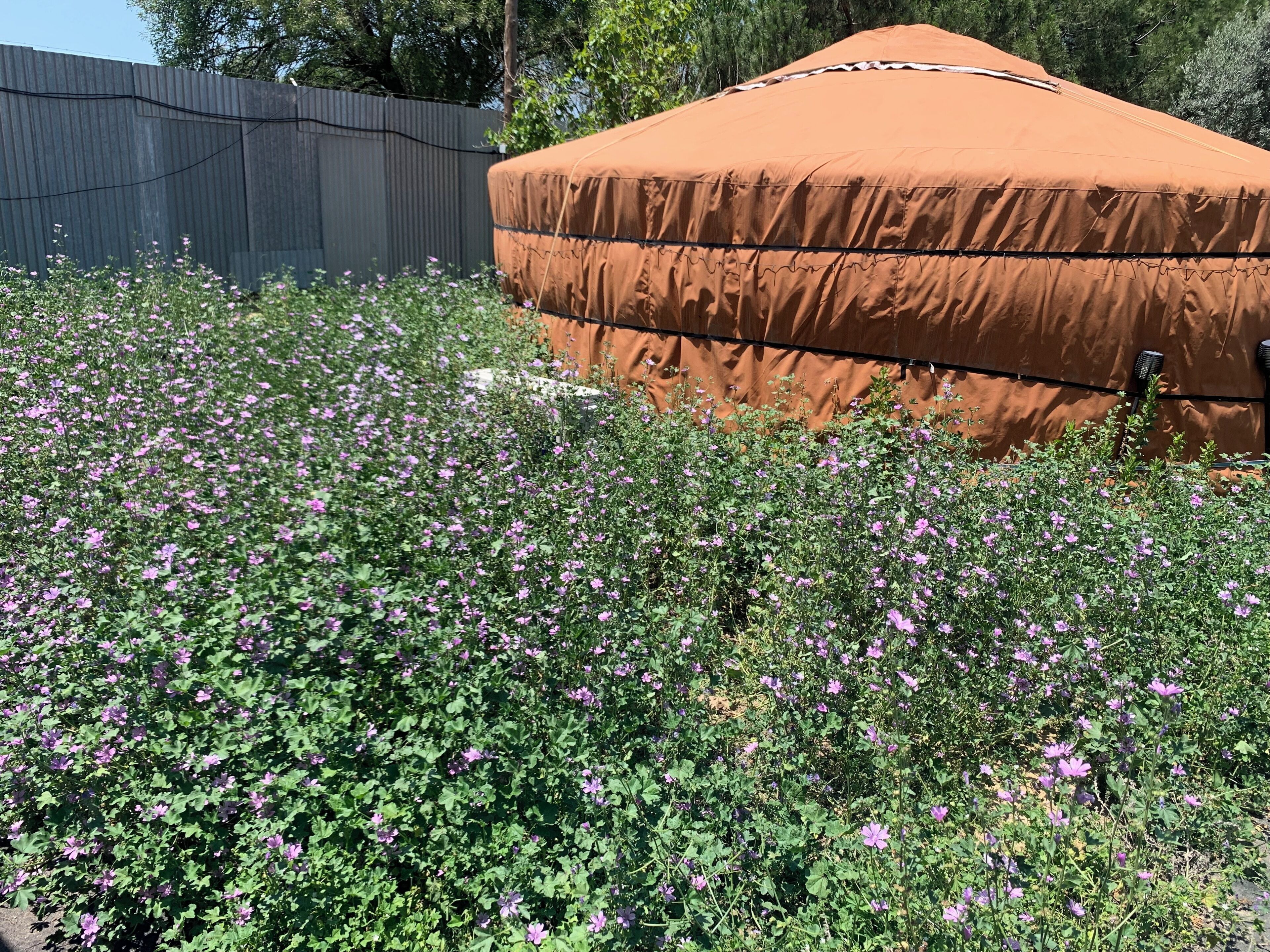 Enceinte de l’hébergement