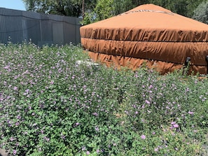 Àrea exterior de l'allotjament