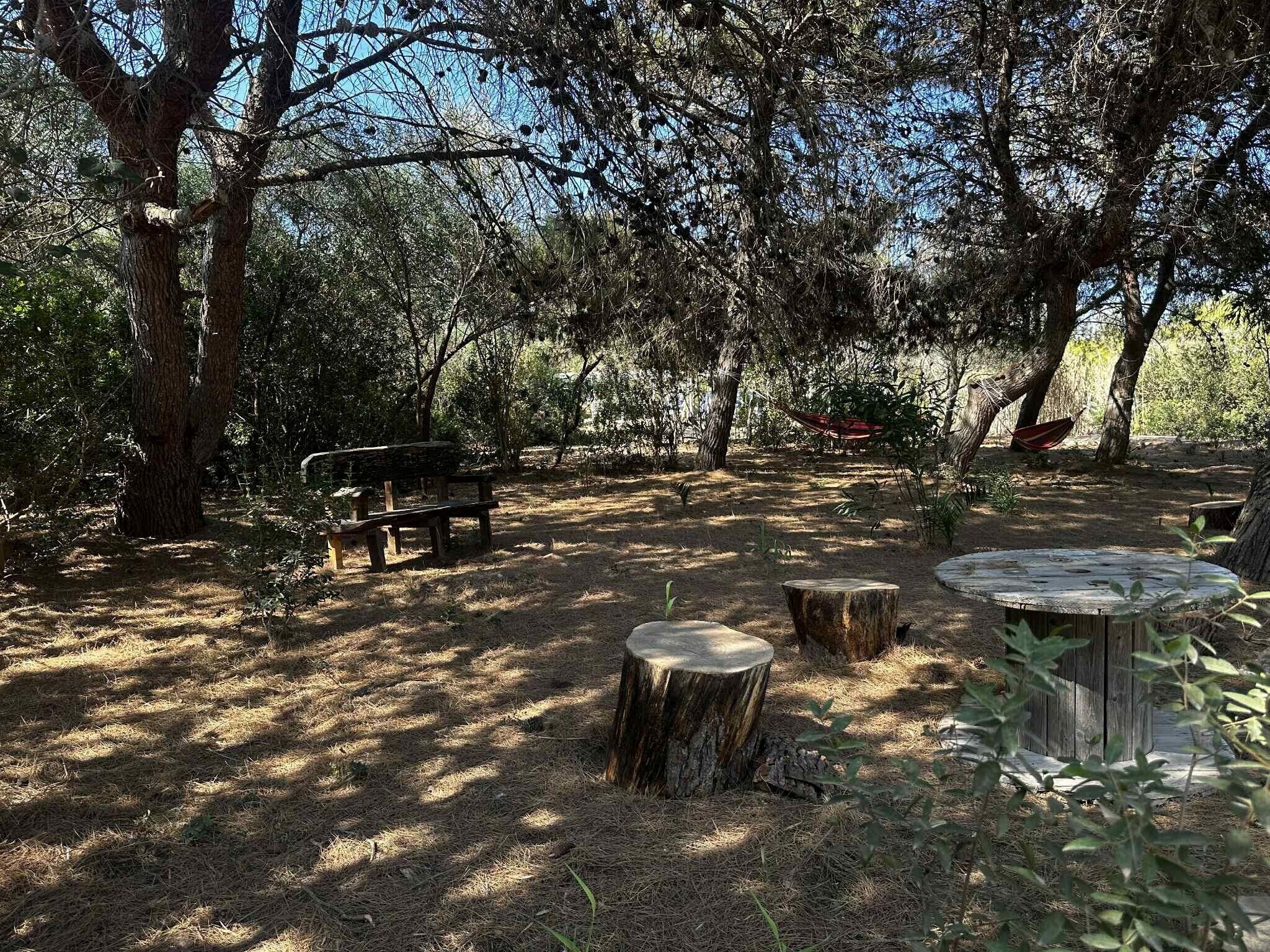 Parco della struttura