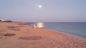 Ein Strand mit ruhiger See, wolkenlosem Himmel und sichtbarem Mond.