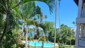 Un espace piscine agrémenté d’un chemin en pierre, de palmiers et d’un ciel d’un bleu limpide.