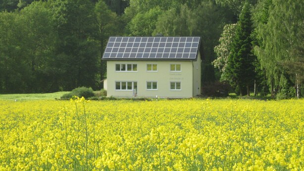 A two-story house with a solar panel roof, surrounded by a field of yellow flowers and dense green trees in the background. - Ferienwohnung im Obergeschoss, Homberg (Homberg)