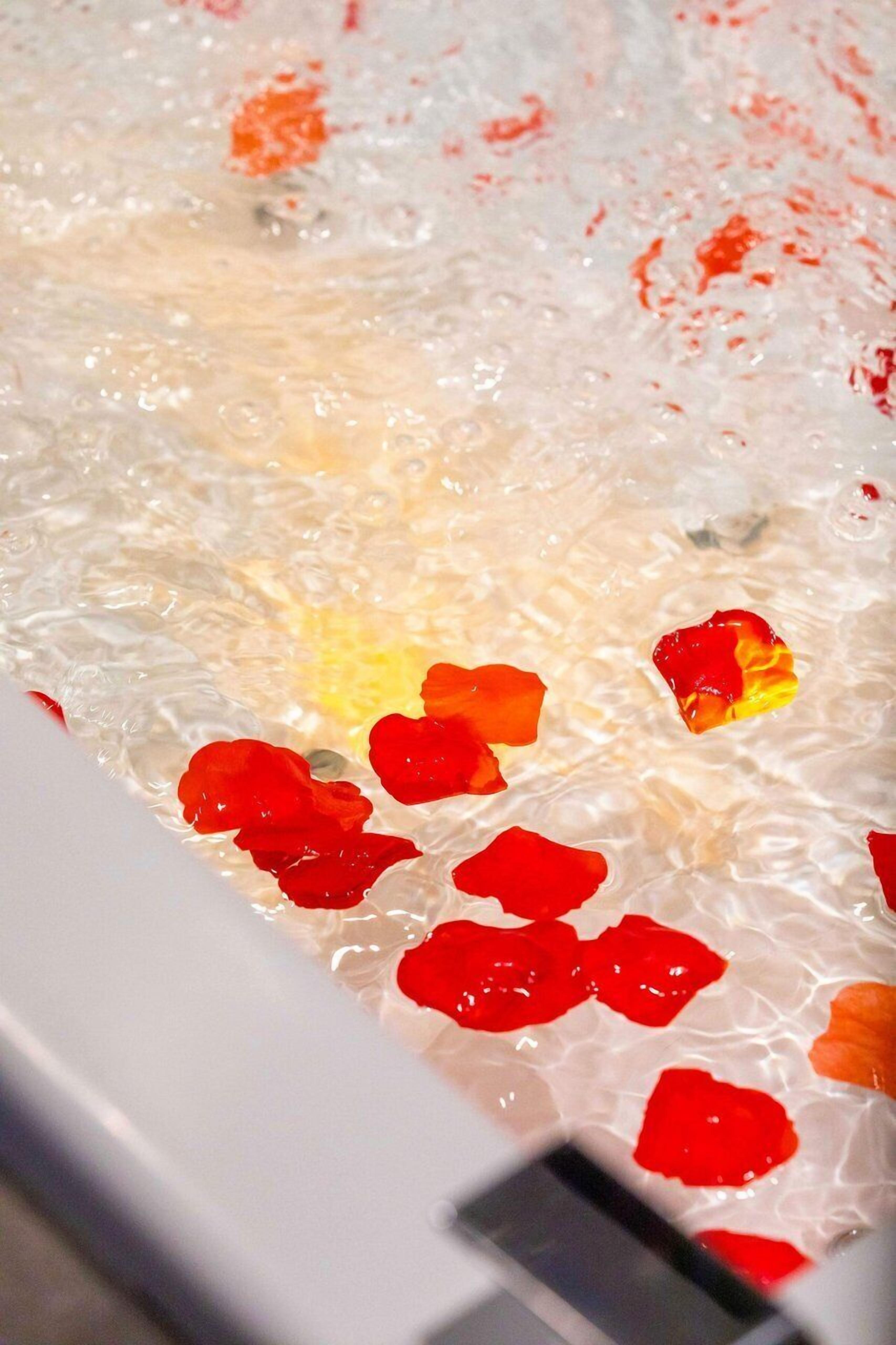 Eine Badewanne mit Wasser und Rosenblüten.