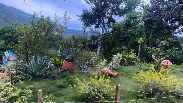 A garden with various plants, a wooden fence, and a mountainous backdrop. - Country Cabin With Mountain Views (San Gil)