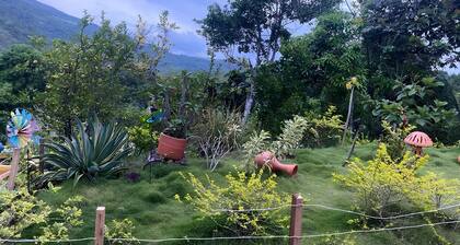 Country Cabin With Mountain Views