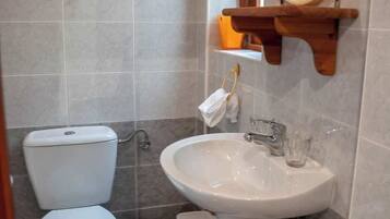 Shower, hair dryer