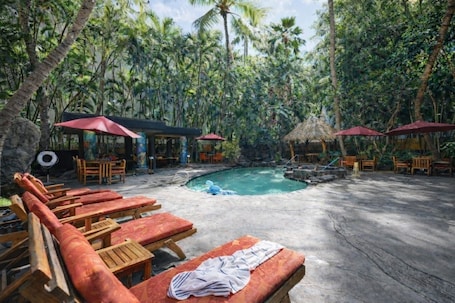 Tropical Boutique Hotel room 2 blks to Beach! Hidden Sanctuary in Waikiki!