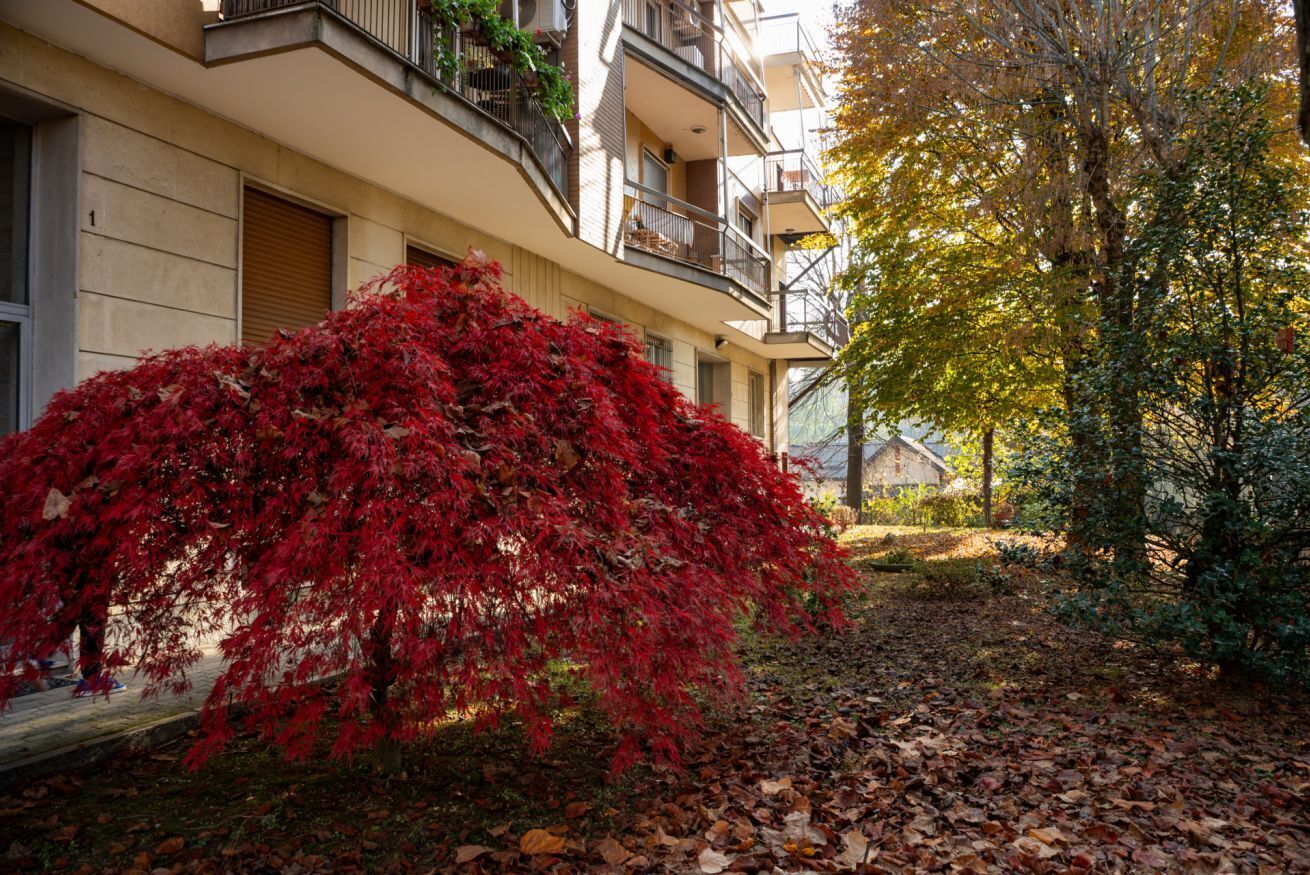 Un edificio con un arbusto dai fogliame rossi in primo piano, un balcone e un albero con foglie gialle.