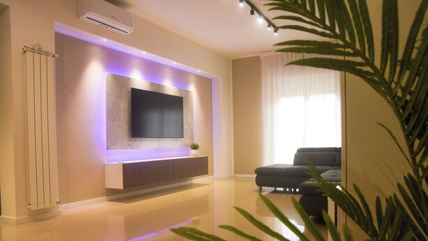 Un salon moderne avec un téléviseur à écran plat fixé au mur, un canapé et une plante en pot.