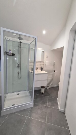 Secador de pelo, toallas, jabón, papel higiénico