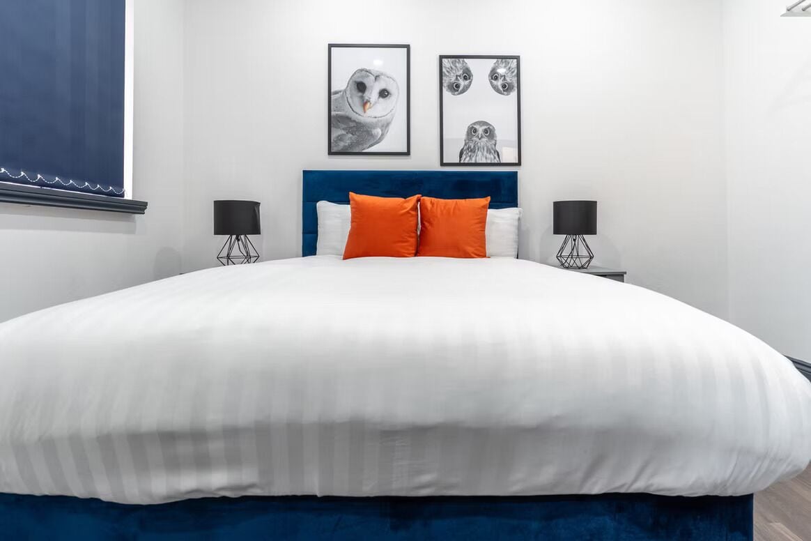 Quarto moderno com uma cama grande, duas imagens de corujas emolduradas na parede e cabeceira azul.