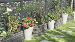 A garden with a variety of potted plants and stepping stones. - Wonky 2 A Cosy Hideaway in the Heart of Cheshire (Macclesfield)