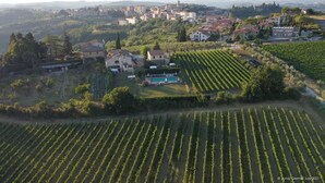 Un domaine viticole avec des rangées de vignes, une piscine et une grande maison entourée d’autres bâtiments.