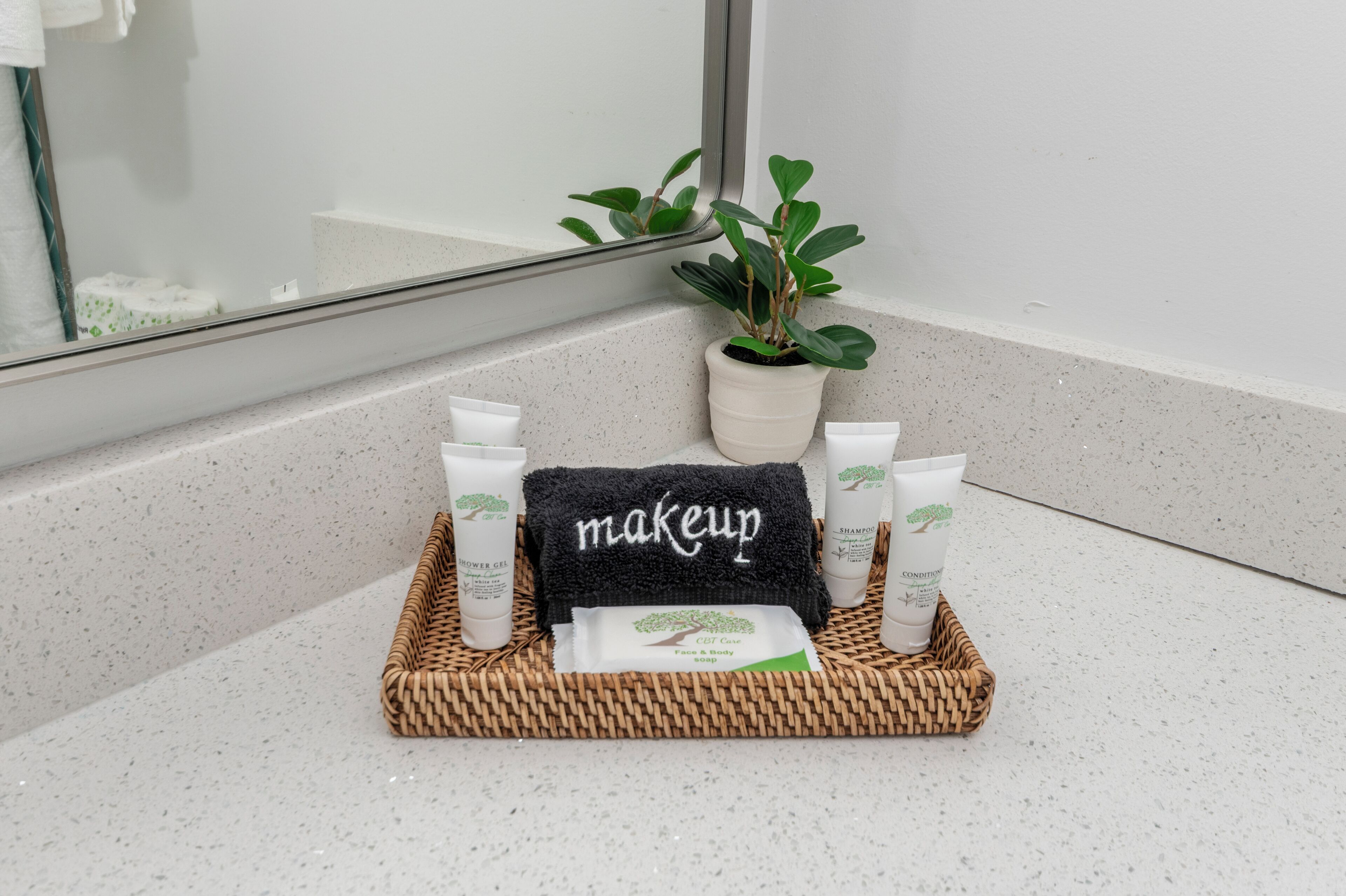 Ein Badezimmer-Waschtisch mit Spiegel, einem Blumentopf und einer Ablage mit Pflegeprodukten, darunter ein Handtuch, ein Reinigungsgel und eine Shampooflasche.