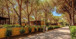 Garden - Hotiday Marina di Cecina (Cecina)