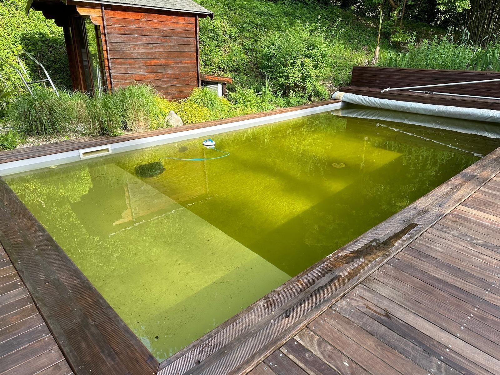 A wooden deck surrounding a rectangular pool with a wooden cabin in the background.