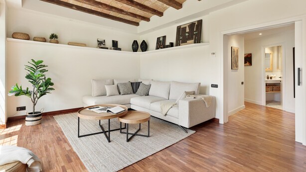 Un soggiorno con un divano bianco, due tavolini in legno, una pianta in vaso e un soffitto in mattoni.