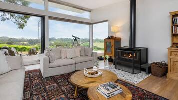 Smart TV, fireplace