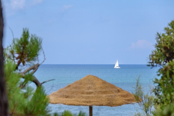 A beach scene with a thatched umbrella and a sailboat in the distance. - Hotel with private beach in San Vincenzo (San Vincenzo)