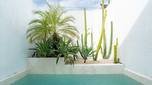 A small pool with clear water, surrounded by cacti and a palm plant. - Villa Casa Zaya B (Canggu)