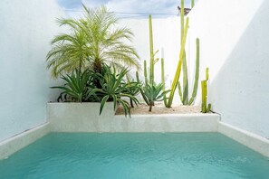 Basic Villa | Pool - Villa Casa Zaya B (Canggu)