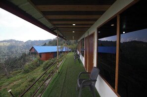 Property grounds - The Kanatal Orchids (Tehri Range)