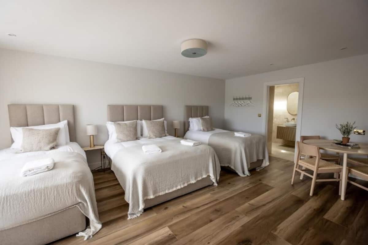 Family Room | Blackout drapes, soundproofing, iron/ironing board, free WiFi