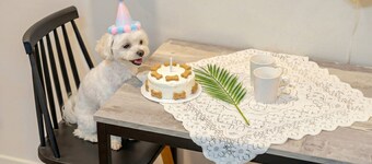 Gyeongju Bomun Arno Pool Villa