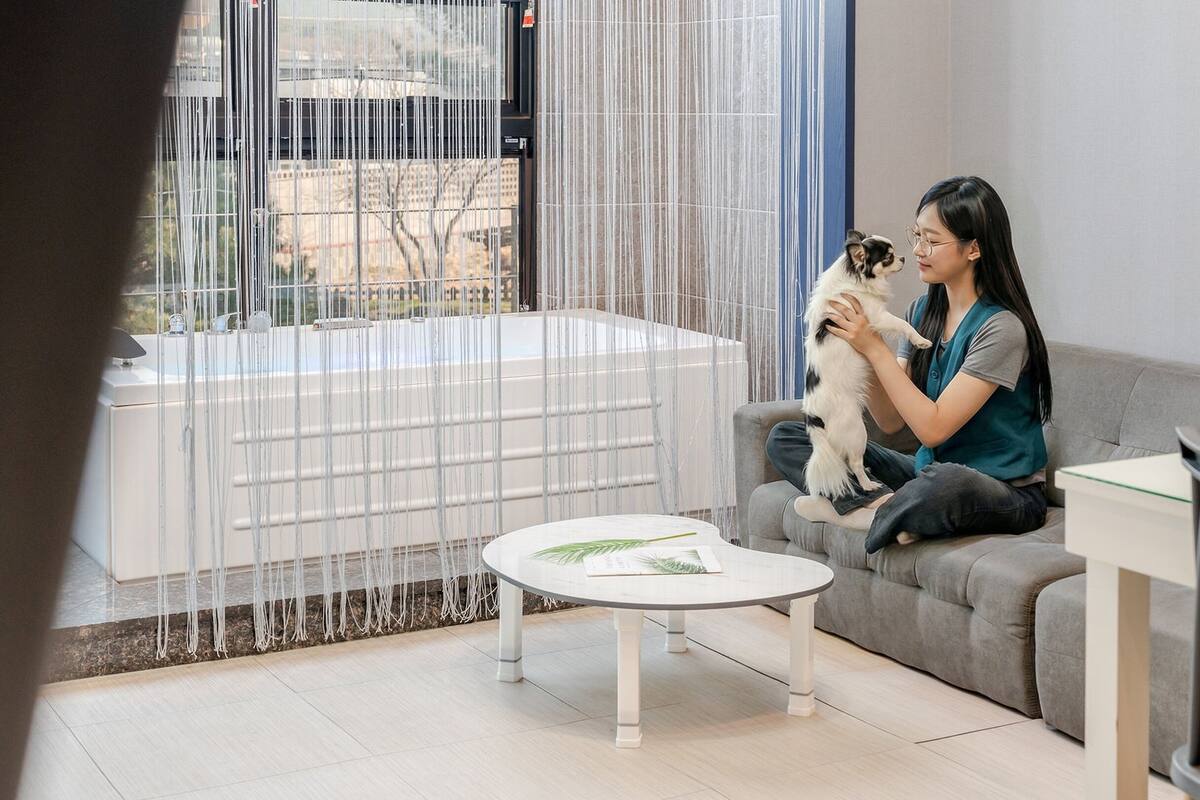 A room with a grey sofa, a white coffee table, and a view through a window with vertical blinds.
