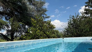 Une piscine aux eaux cristallines, entourée d’une végétation luxuriante et d’arbres.