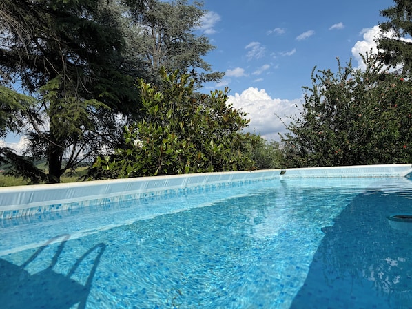Piscina cristalina rodeada de vegetación exuberante y árboles.