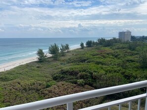 Property grounds - Oceanfront 9th-Floor Condo on the beach with Breathtaking Views (North Hutchinson Island)