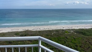 Blick auf einen Strand mit weißer Uferbefestigung, dem Meer und viel Grün.