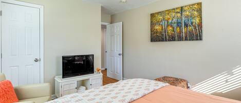 Une chambre à coucher avec un lit, un téléviseur posé sur un meuble, une porte et un tableau accroché au mur.