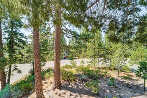 A forested area with a road and a building in the background.