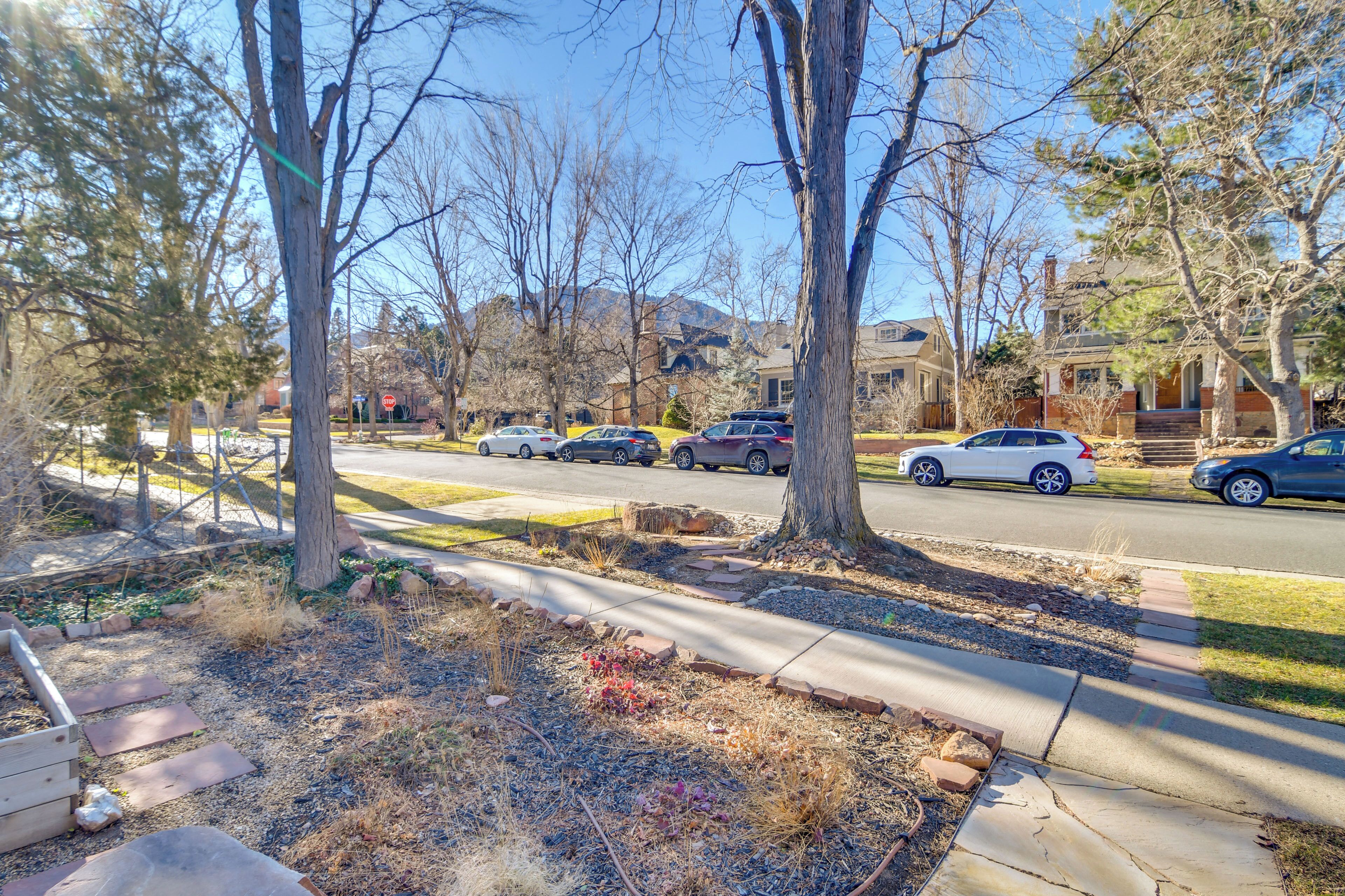 A suburban street with parked cars, trees, and houses.