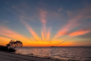Una puesta de sol sobre un mar tranquilo con la silueta de un árbol contra el cielo.