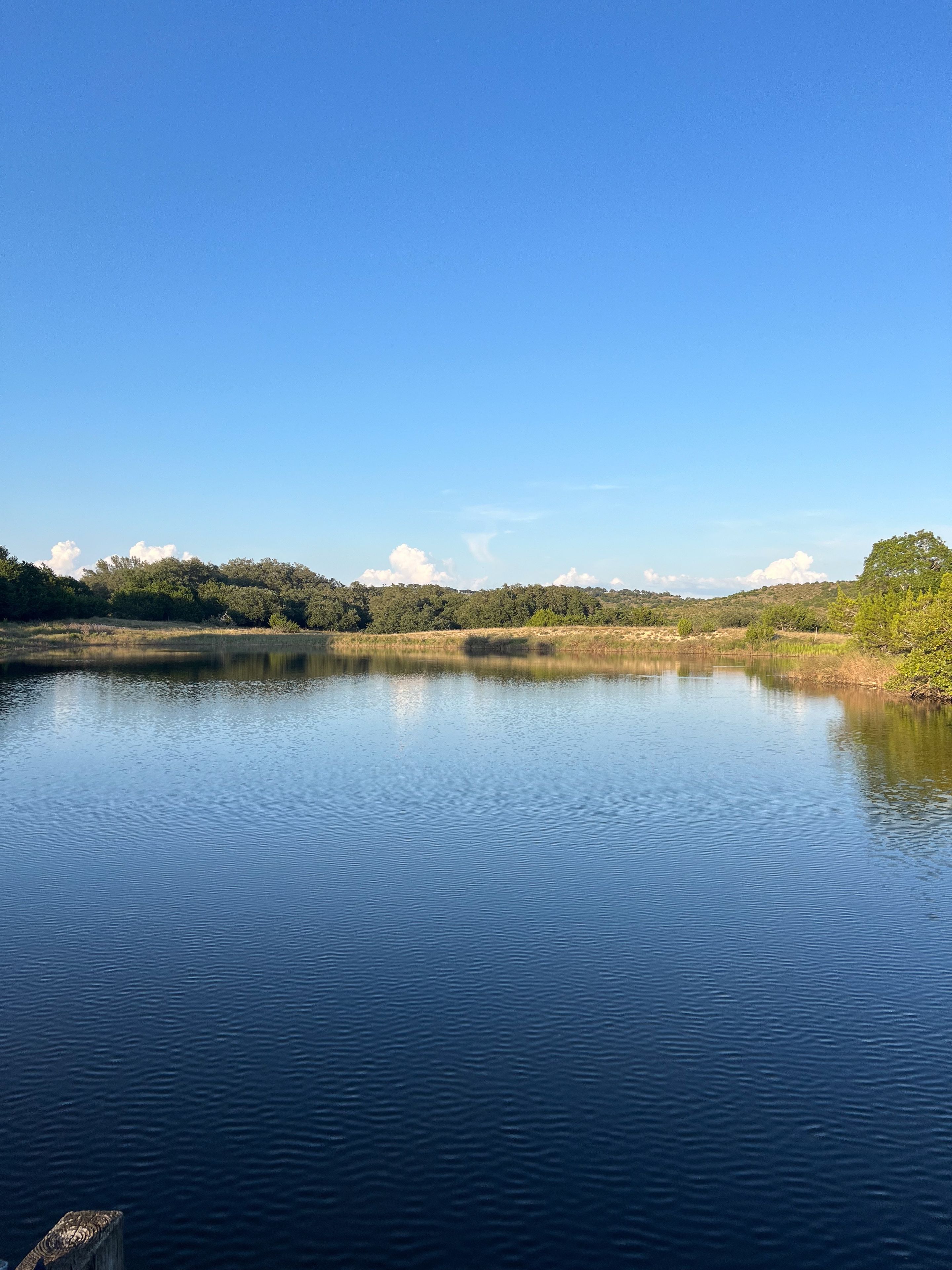 A calm lake with a clear sky and distant trees.