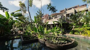Un bâtiment moderne doté d’une piscine, le tout entouré de plantes tropicales.