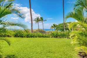 Property grounds - Maui Kamaole #H-105 Ocean View Condo across the street from beach, Full A/C (Kihei)