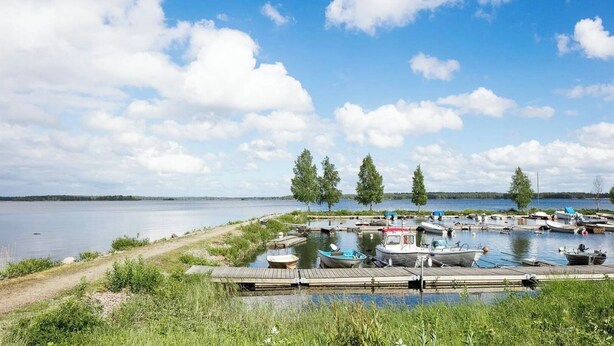 Une jetée au bord du lac, avec des bateaux amarrés, une plateforme en bois et des arbres en arrière-plan.