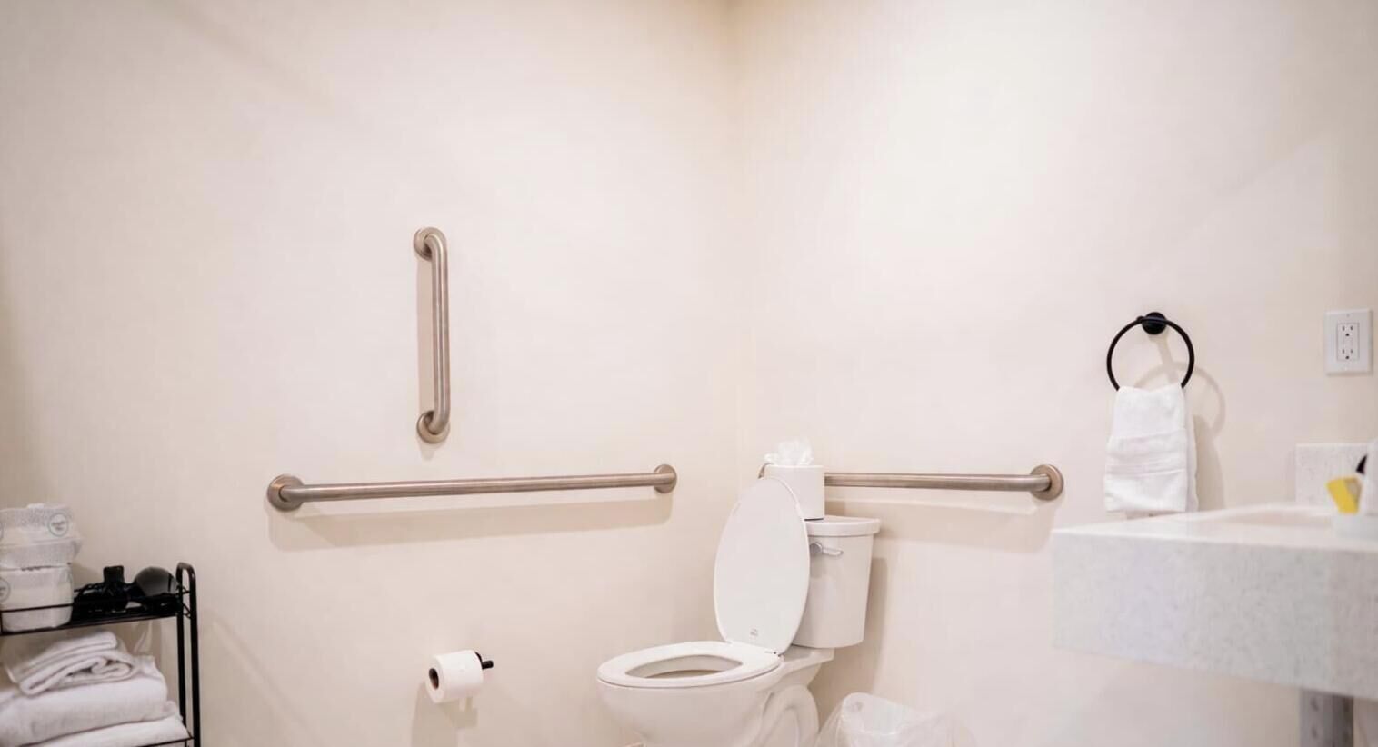 A bathroom with a toilet, handrails, a towel rack, and a sink.