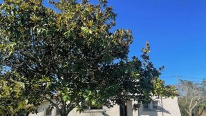 A single-story building with a flat roof, a small porch, and a tree in front. - L'ECRIN DE JOSELIA, 60m2 renovated family home in Périgord Vert (QUINSAC)
