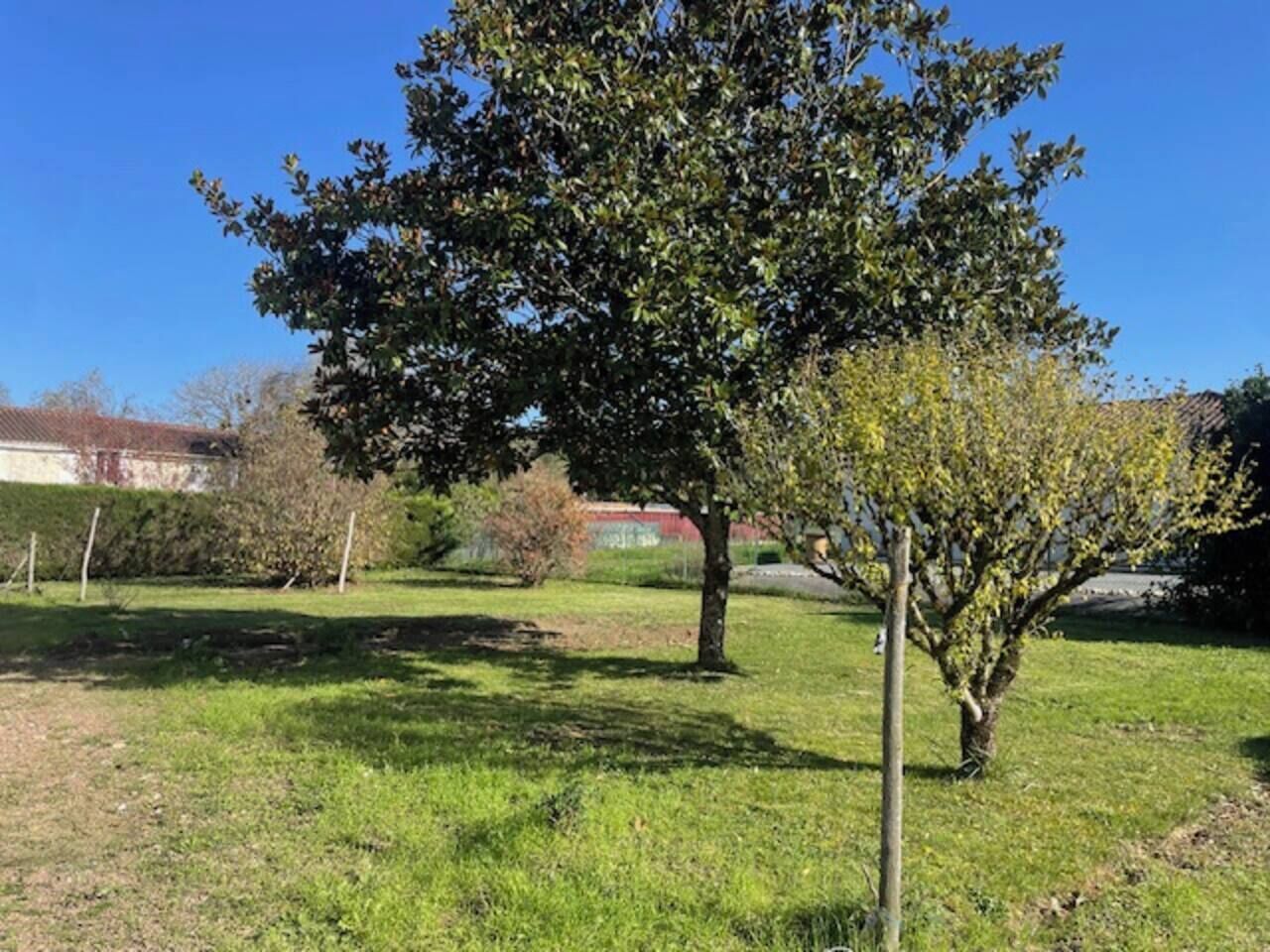A grassy area with a tree and a building in the background.