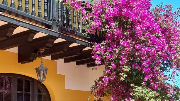 A building with a balcony, a hanging lantern, and a flowering tree. - Apartment for 2 in the center of Nueva (Nueva de Llanes)