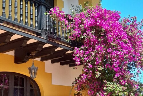 Apartment for 2 in the center of Nueva