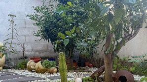 A garden with a cactus in a pot, a rabbit statue, and various potted plants. - L`ulivo - Portoscuso (Portoscuso)