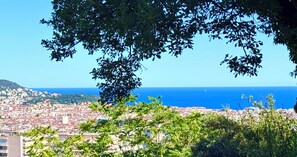 Miscellaneous - Villa baie des anges (Nice)